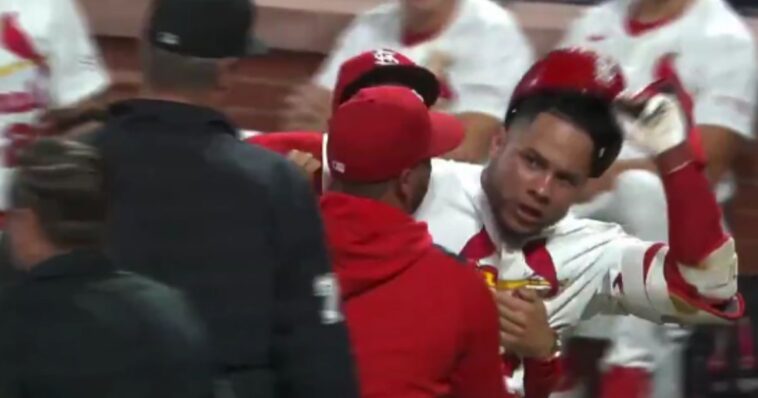 watch:-mlb-star-hits-his-own-coach-with-bat-during-on-field-meltdown