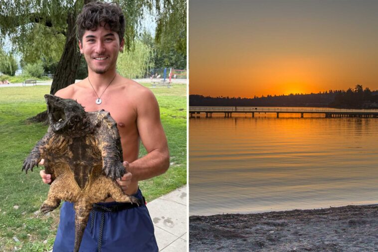 valiant-lifeguard-captures-massive-‘invasive’-reptile-lurking-in-waters-of-washington-park