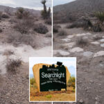 70-piles-of-cremated-human-remains-mysteriously-dumped-in-desert-near-las-vegas-sparks-investigation