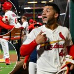 willson-contreras-suspended-six-games-after-bat-and-candy-throwing-outburst