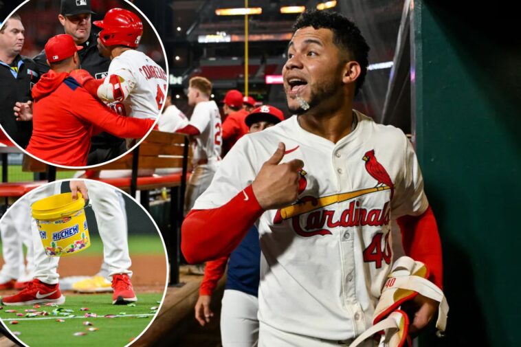 willson-contreras-suspended-six-games-after-bat-and-candy-throwing-outburst