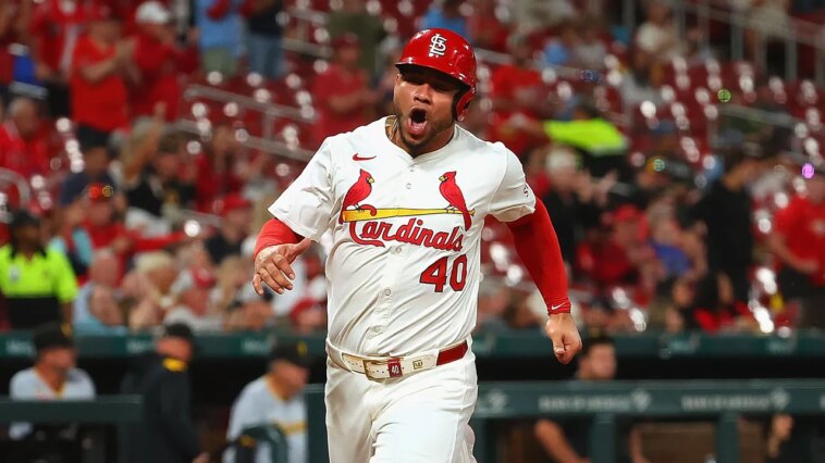 mlb-hands-down-multi-game-suspension-after-cardinals’-willson-contreras-meltdown,-ejection