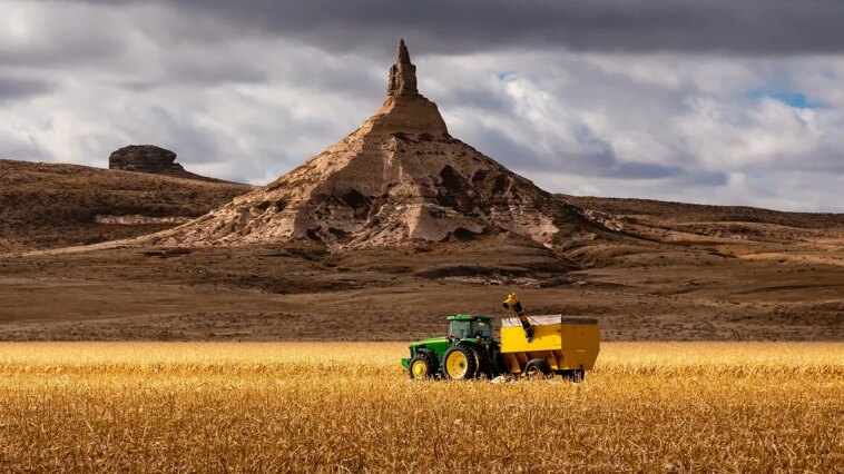 agriculture-is-the-answer-to-america’s-junk-food-crisis