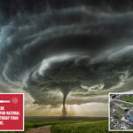 which-natural-disasters-scare-us-the-most-—-and-can-we-ever-truly-feel-prepared?