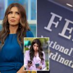 fema-workers-fired-for-watching-‘racially-charged’-porn,-bestiality-content-on-gov’t-issued-devices-at-work