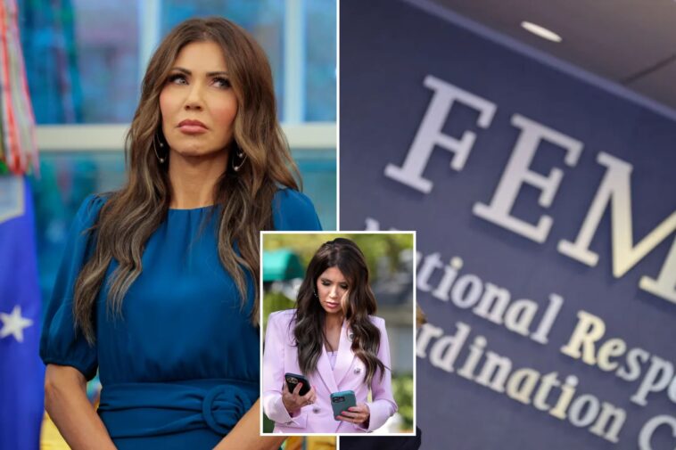 fema-workers-fired-for-watching-‘racially-charged’-porn,-bestiality-content-on-gov’t-issued-devices-at-work