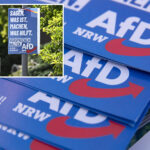 six-candidates-from-germany’s-rightwing-afd-party-die-days-apart-in-lead-up-to-local-elections:-reports