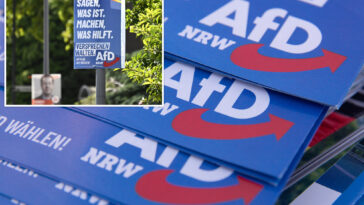 six-candidates-from-germany’s-rightwing-afd-party-die-days-apart-in-lead-up-to-local-elections:-reports