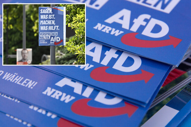 six-candidates-from-germany’s-rightwing-afd-party-die-days-apart-in-lead-up-to-local-elections:-reports