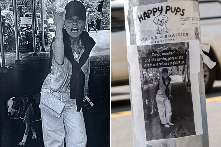 mystery-nyc-s–t-stirrer-refuses-to-pick-up-dog’s-poop-on-ues,-fuming-neighbors-plaster-her-pic-all-over-town