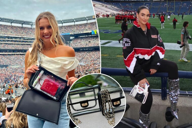 football-fan-fashionistas-have-found-a-chic-way-to-beat-the-nfl’s-clear-bag-policy-—-now-big-brands-are-hopping-on-the-trend