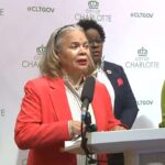 democrats-condemn-stabbing-victims-for-inflating-crime-numbers