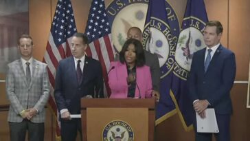 dems-warn-surveillance-videos-perpetuate-stereotypes-by-accurately-depicting-events