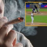 colorado-authorities-warn-marijuana-consumption-could-lead-to-attending-rockies-games