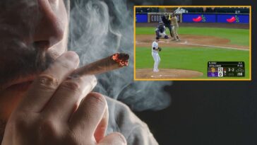 colorado-authorities-warn-marijuana-consumption-could-lead-to-attending-rockies-games