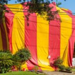 termites-excited-as-cool-tent-placed-over-house