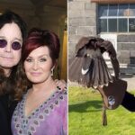 sharon-osbourne-finds-‘magical’-comfort-in-unusual-hobby-following-ozzy-osbourne’s-death