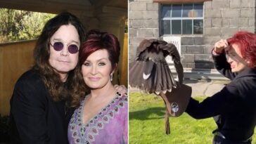 sharon-osbourne-finds-‘magical’-comfort-in-unusual-hobby-following-ozzy-osbourne’s-death