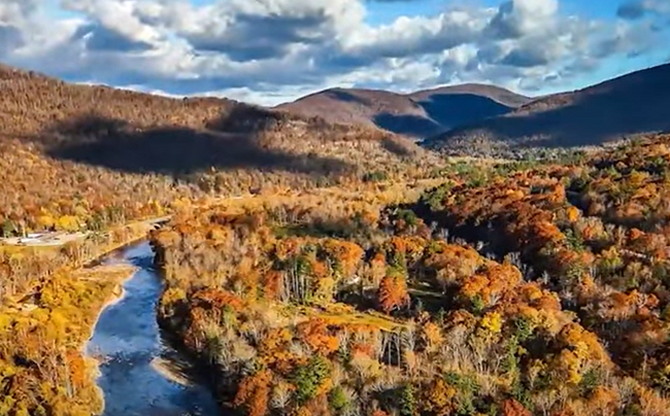 four-hikers-in-new-york’s-catskill-mountains-take-psychedelic-mushrooms,-end-up-calling-rangers-for-help-after-freaking-out