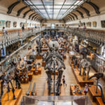 paris-museum-hit-by-$700,000-gold-heist