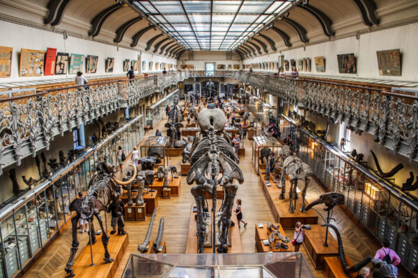 paris-museum-hit-by-$700,000-gold-heist