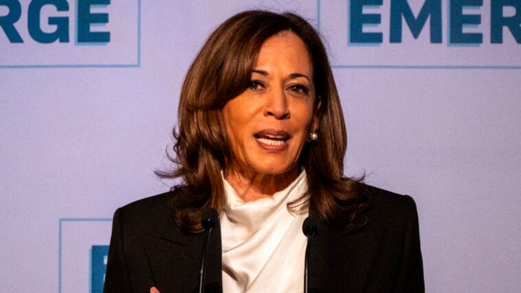 kamala-harris-says-she-‘had-no-idea’-she-‘pulled-the-pin-on-a-hand-grenade’-with-‘the-view’-answer-about-biden