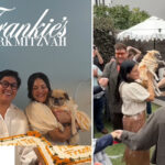 nyc-couple-host-bark-mitzvah-for-13-year-old-pug:-‘she’s-just-the-sweetest’