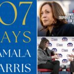 harris-scoffs-at-impact-of-trump’s-‘kamala’s-for-they/them’-attack-ad:-no-‘knockout-punch’