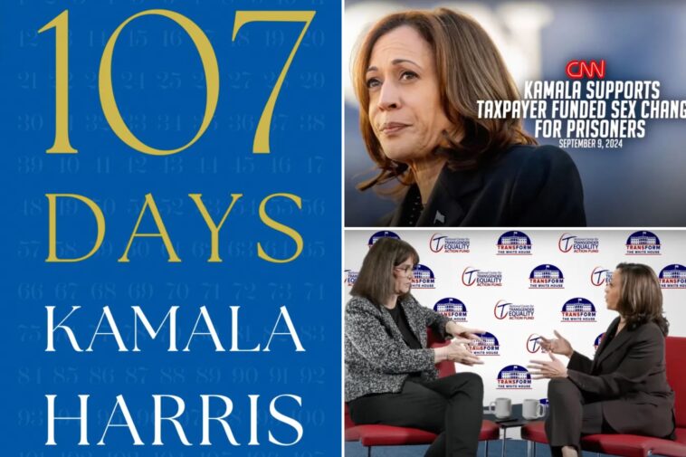 harris-scoffs-at-impact-of-trump’s-‘kamala’s-for-they/them’-attack-ad:-no-‘knockout-punch’