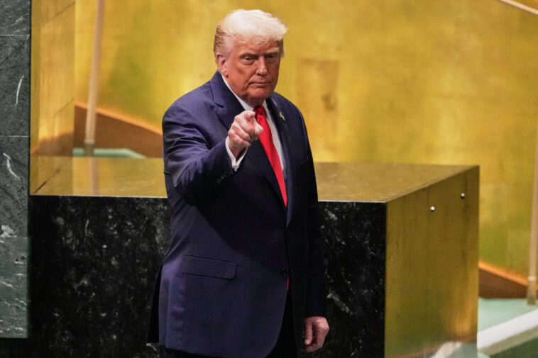trump-supports-nato-countries-shooting-down-russian-aircraft-in-their-airspace,-he-says-with-zelensky-at-un