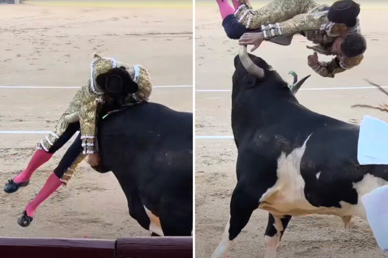 horrific-video-shows-veteran-matador-viciously-gored-in-madrid-bullfight:-‘i-was-bleeding-a-lot’
