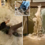 horror-moment-unstoppable-wall-of-water-from-monster-typhoon-burst-through-glass,-washing-away-hotel-guests