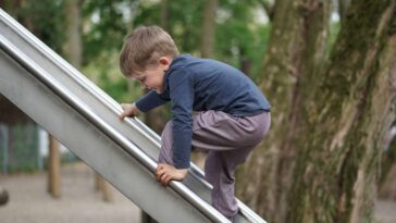 4-year-old-rebel-defies-convention-and-climbs-up-slide