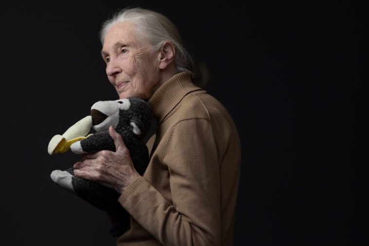 chimpanzee-expert-jane-goodall-dies-at-91