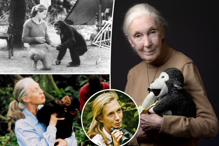jane-goodall,-renowned-anthropologist-and-conservationist,-dead-at-91