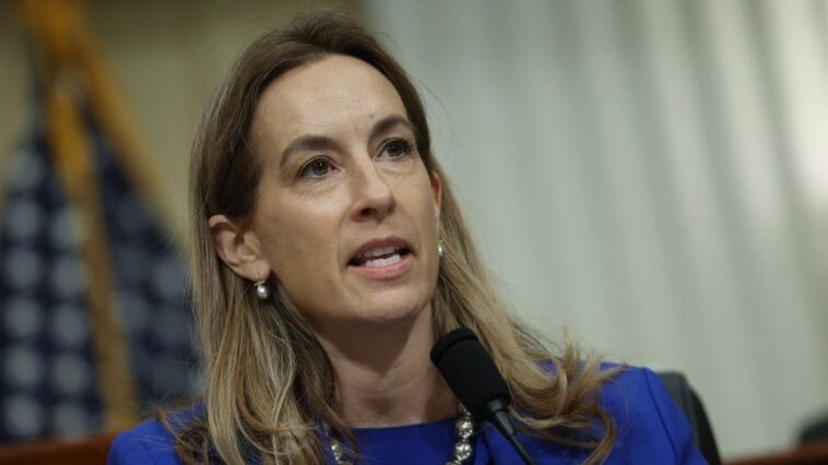 how-mikie-sherrill’s-family-made-millions-after-she-was-elected-to-congress