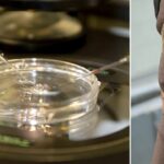 skin-dna-breakthrough-could-let-60-year-old-women-have-genetically-related-kids