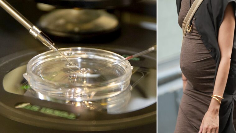 skin-dna-breakthrough-could-let-60-year-old-women-have-genetically-related-kids