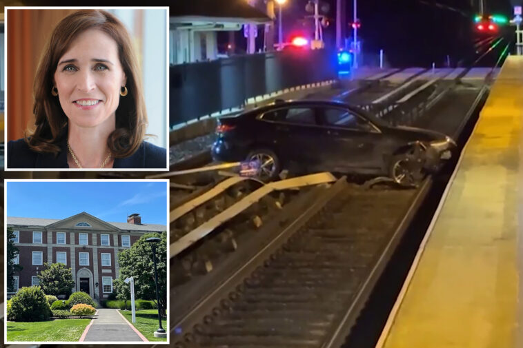 ex-adelphi-university-president-charged-with-drunken-driving-after-wild-crash-ends-with-car-landing-on-lirr-tracks:-cops
