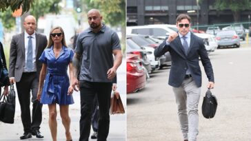 denise-richards-breaks-down-in-court-as-she-recounts-shocking-alleged-abuse