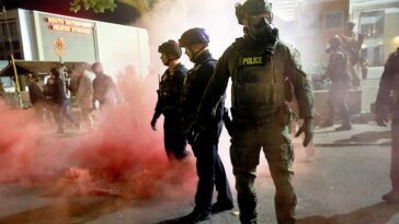 ex-cnn-reporter-declares-portland-‘a-pilot-program-for-normalizing-domestic-militarization’
