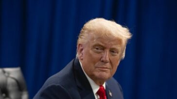 report:-donald-trump-to-cut-refugee-admissions-by-94%,-mainly-aiding-white-south-africans