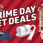 october-prime-day-means-big-pet-savings:-up-to-50%-off-cat-and-dog-gear