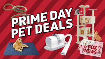 october-prime-day-means-big-pet-savings:-up-to-50%-off-cat-and-dog-gear