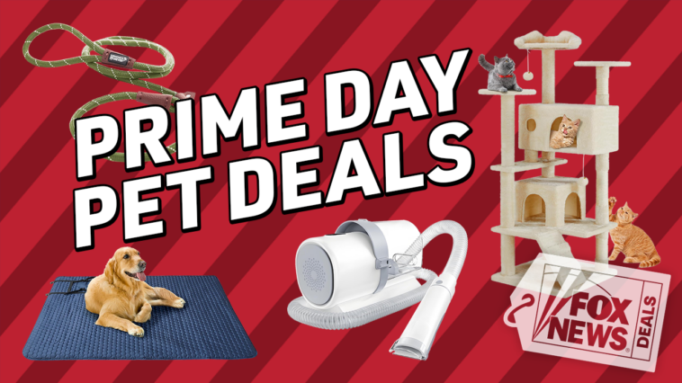 october-prime-day-means-big-pet-savings:-up-to-50%-off-cat-and-dog-gear
