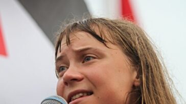 greta-thunberg’s-complaints-about-alleged-jail-conditions-dismissed-by-israeli-govt.-as-‘brazen-lies’