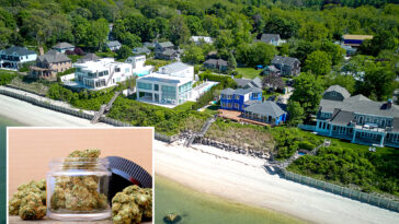 state-shoots-down-this-long-island-town’s-local-cannabis-laws,-finding-them-illegal-and-overreaching:-‘nightmare-is-almost-over’