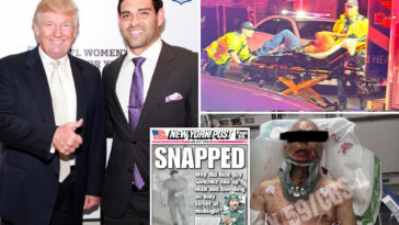 trump-weighs-in-on-mark-sanchez-stabbing,-arrest:-‘something-a-little-crazy-happened’