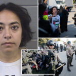 far-left-professor-eman-abdelhadi-charged-with-violent-felonies-after-chicago-ice-facility-riots