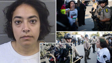 far-left-professor-eman-abdelhadi-charged-with-violent-felonies-after-chicago-ice-facility-riots
